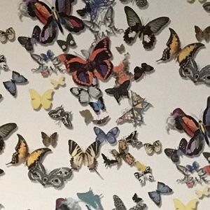 Meet your Posher, Ciara